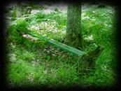 742 Bench at grave site